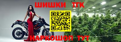 стафф Лесосибирск