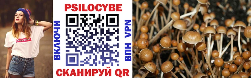 Псилоцибиновые грибы Cubensis  Старый Оскол 