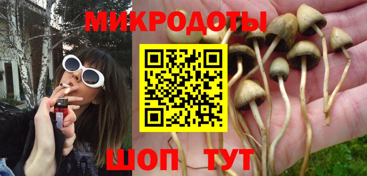 Галлюциногенные грибы Magic Shrooms Старый Оскол